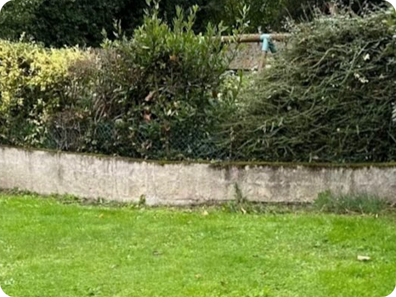 before-image